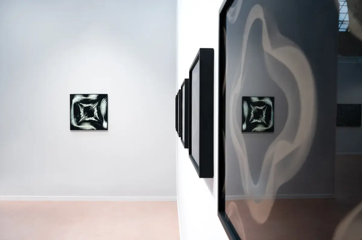 CYMATIC — installation with reflective surface